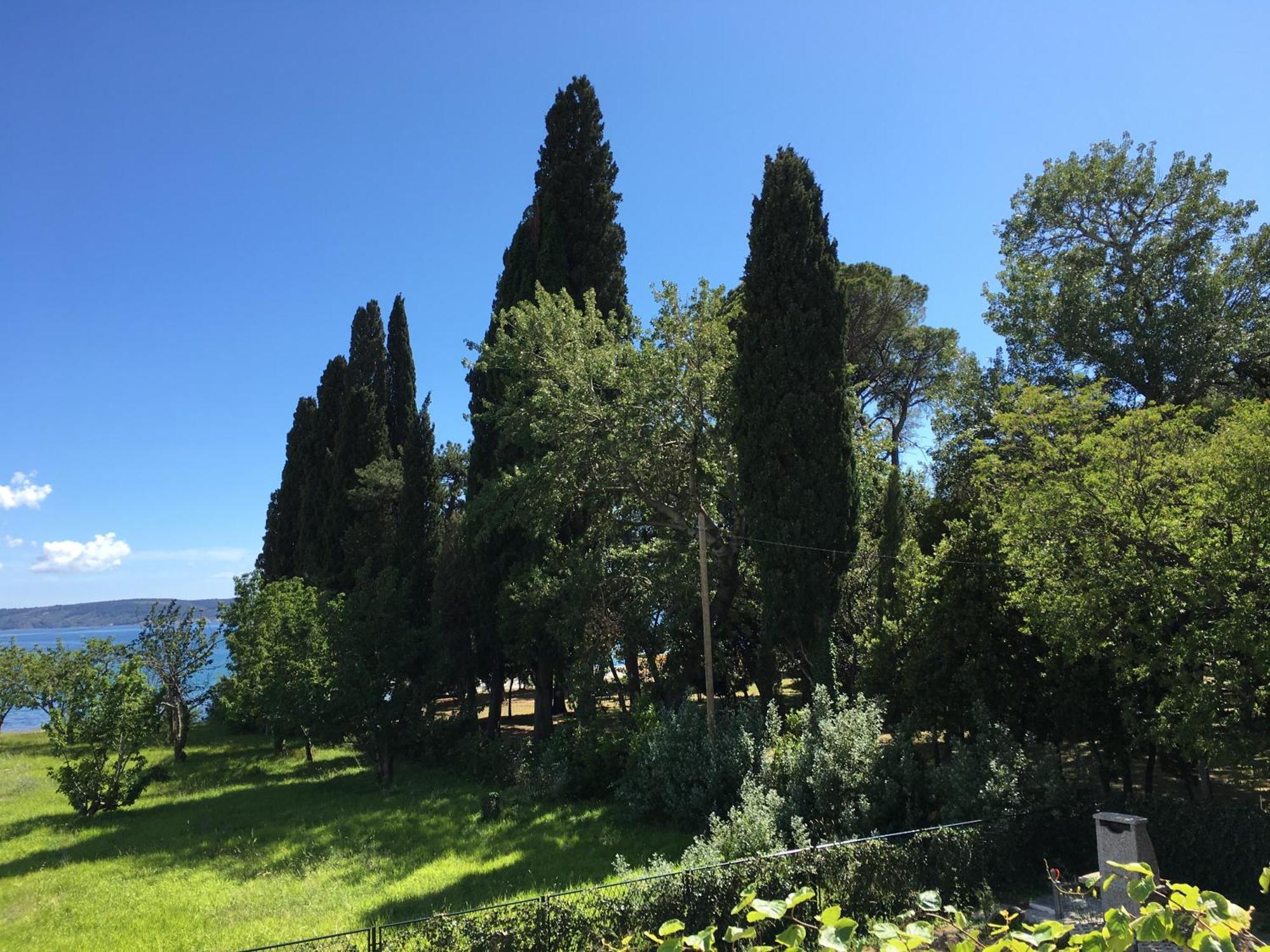 KaštelaPalmaja公寓 外观 照片
