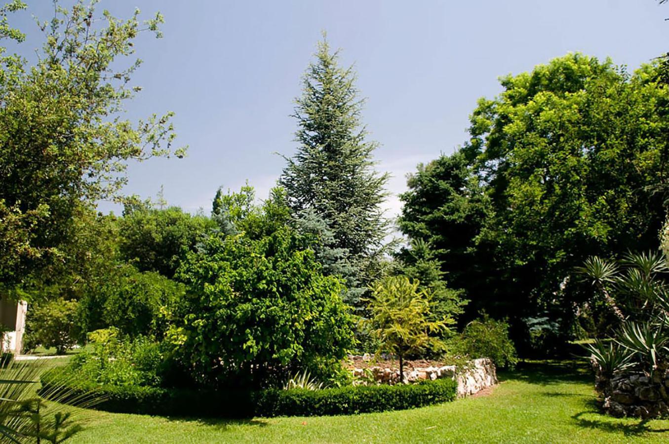 KaštelaPalmaja公寓 外观 照片